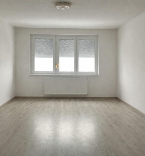 KIADÓ LAKÁS OROSZLÁNYON – TÓ MELLETT, LIFTES PANELBEN!